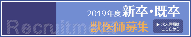2016年度新卒募集