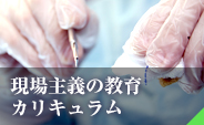 現場主義の教育カリキュラム