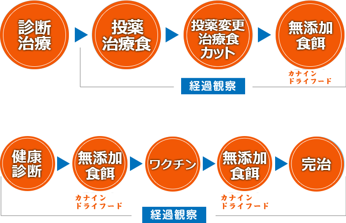 食餌を通じて肝機能を回復させるプロセス