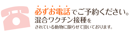 必ずお電話でご予約ください。混合ワクチン接種をされている動物に限らせて頂いております。