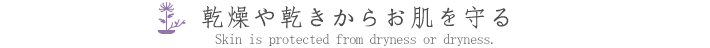 乾燥や乾きからお肌を守る